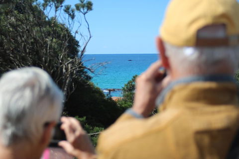 Margaret River Coastal And Wildlife Eco Trip From Busselton Or Dunsborough - Accommodation Port Macquarie 5